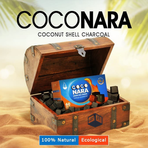 CHARCOAL COCO NARA COCONUT SHELL 60 PCS/CS